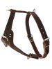 Latigo Leather Roading Harness