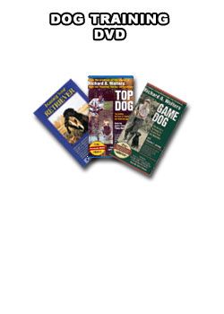 water dog training videos