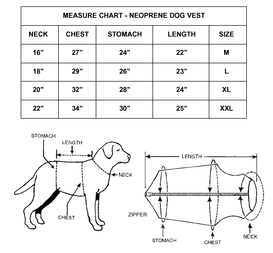 Dog Blanket Size Chart