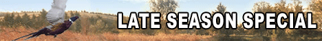 Fall Special - Granite Spring