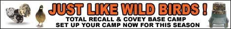 Quality Wildlife Banner