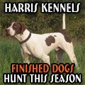 Harris Kennels - Finished