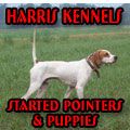 Harris Kennels - Started