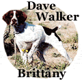 Dave Walker Dogs