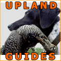Skydance Guide Service