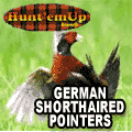 Huntem Up Kennels - Pheasant