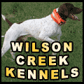 Wilson Creek Kennels
