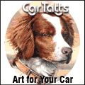Car Tatts - Upload