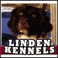 Linden Kennels