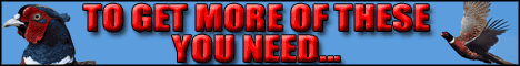 G and D Kennels