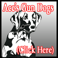 Aces Retrievers