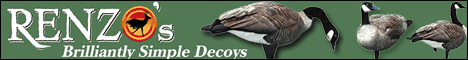 Renzo Decoys
