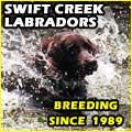 Swift Creek Retrievers