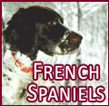 Minnesota French Spaniels