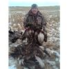 Two fist fulls of mallards