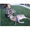 11pt still in velvet with 13inch g2, 16 1/2 inch spread
