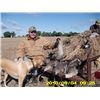 Early season Goose Hunt