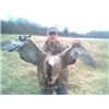 largest goose of my life 2008 season...