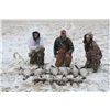 Fowl In The Snow