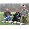 Northern Delaware Honkers