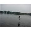 Sadie Dock-Diving