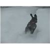 Blizzard of 2011