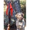  Lab and Browning