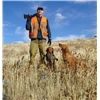 Grouse & Chukar 2011 Hunt 