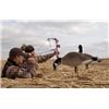 Pink Outdoors vs Goose