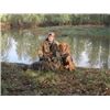 this is my goldens first duck trip he is 8 months old