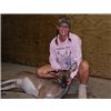 Filling the freezer
