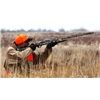 Shotgun Shell Ejection