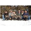 Fall Turkey Hunt with Freedom Hunters