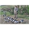 Grier Wakefield Geese Ducks and Dove