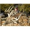 Bob Lott / Producer / Intrepid Outdoors