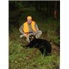 My First Black Bear